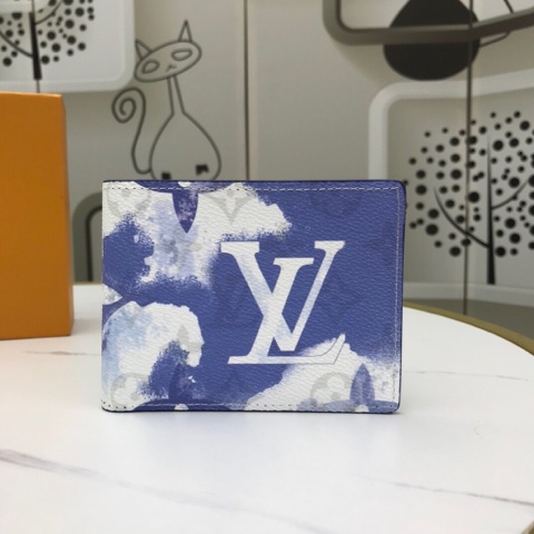 LOUIS VUITTON Wallets 80458 MULTIPLE blue